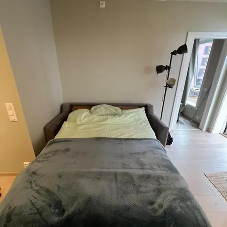 1b1b Furnished Apartment Oslo